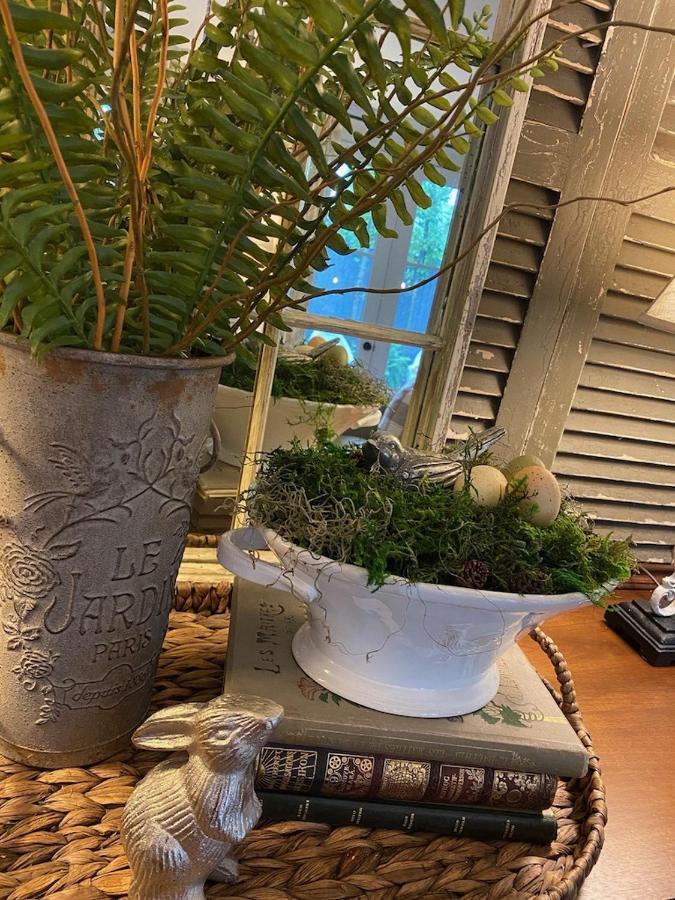 The Olive Bird Chalet In Central Gardens, Memphis Tn Exteriör bild